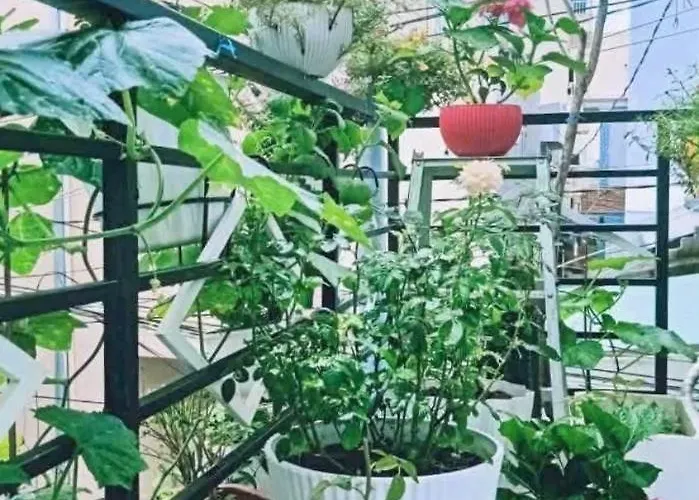 Hoàng Nga 2 Khách sạn