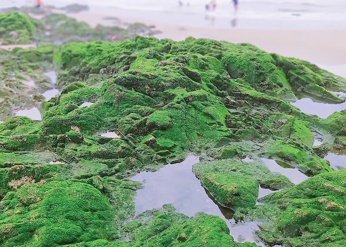 Hoàng Nga 2 * Phan Thiết